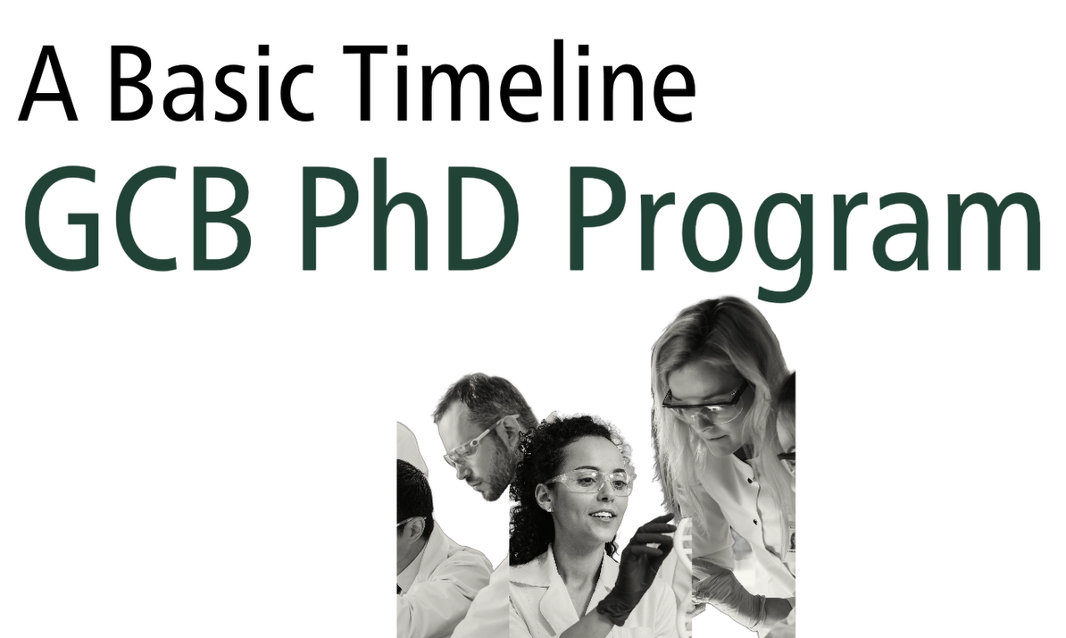 university of bern phd stipend